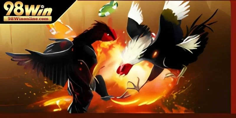 Xác định thời gian gà mái có thể thụ thai